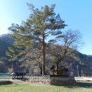 오저1리 이미지