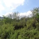 광진리경로당 이미지