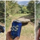 서봉산 산림욕장 1 이미지