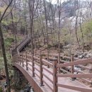 청도강변돌고래펜션 이미지