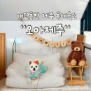 (주)오아제 | 제주도 애견동반 숙소 오아제주 제주도 독채 자쿠지