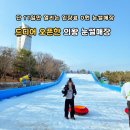 호수부분정비 | 아이랑 주말에뭐하지 고민 끝 ! 입장료0원 왕송호수공원 의왕 눈썰매장 개장