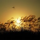 희미한옛사랑의그림자 이미지