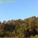 하대동125 이미지