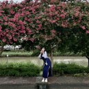 맥시칸치킨 벌교점 | 강진과 보성🍃