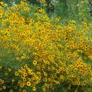 하늘농원 이미지