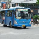 대양약국 이미지