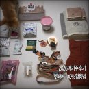 [2026 펫페어 메가주 시즌1] 솔직 후기 • 중형견 하네스/우비/간식/노즈워크 추천템 • 일로/호지...