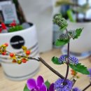 꽃사슴화원 이미지