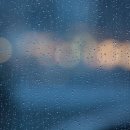 강남대리운전 이미지