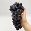 포도 - 성북구 보문로34길 54 | 포도