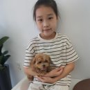 THE DOG SALON 이미지