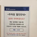 시눅 | 시흥 데이트코스 추천 고양이카페 캣플 코시눅 방문 후기