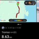 노르웨이세탁 | 노르웨이 트롬쇠 개썰매 Villmarkssenter 후기 및 예약팁