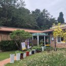 도개다곡묵고을 | [구미맛집] 구미 현지인맛집인 원호에 있는 원조도개다곡묵고을