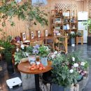 안말(국원) 이미지