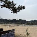 사대부백감자탕 | 무섬마을 외나무다리, 영주여행 가볼만한곳(주차)