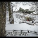 까치인터넷 이미지