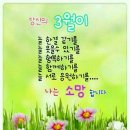 꼼이