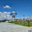 송이테마공원 주차장 | [화성 아기랑] 화성에코팜테마파크 나들이 솔직후기 유모차 주차 수유실 포도축제까지 총정리