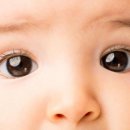 라메종옵티크 이미지