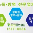 하얀종합클린
