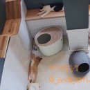 잔다냥 강동점 이미지