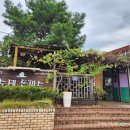 하얀집돈가스 이미지