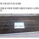 한채쭈꾸미 이미지