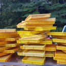 까망꿀꿀이 이미지