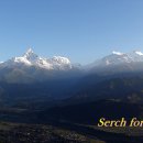 사랑코트 이미지