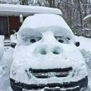 개성시대 이미지