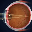 아이프렌드 이미지