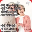 &#34;전우가 좋아&#34;---(690) &#34;인생 이야기&#34;---(225) (희소식) &amp; (의정부 성장의 발걸음) 이미지