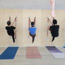 스타 바디핏 이미지