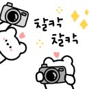 애월몽 강남본점 이미지