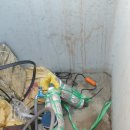 신사운전길 이미지