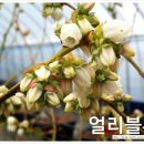 등불농장 이미지