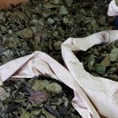 홍시한의원 이미지