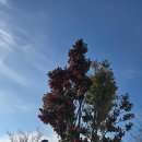 고성-거류-03-비-02 | 정곡마을-당항포관광지-배둔시외버스터미널-마동호-거류초등학교-화당마을-통영황리사거리-공얄등산...