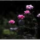 문정한정식 이미지