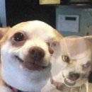 씨유 길음삼양로점 | 모르겠어 내일은 나의 욕심인 걸까 걸어가고 있는데도