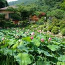 큰골농원 이미지