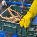 놀부회센타 이미지