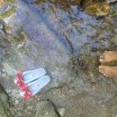 마마힐링하우스 이미지