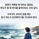 후뫼없는 인생을 즐기자. 이미지