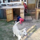 코토우라 이미지