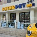 피터펫 논현점 네이버블로그