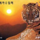 D00560 네이버블로그