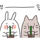 한우육회엔비빔밥
